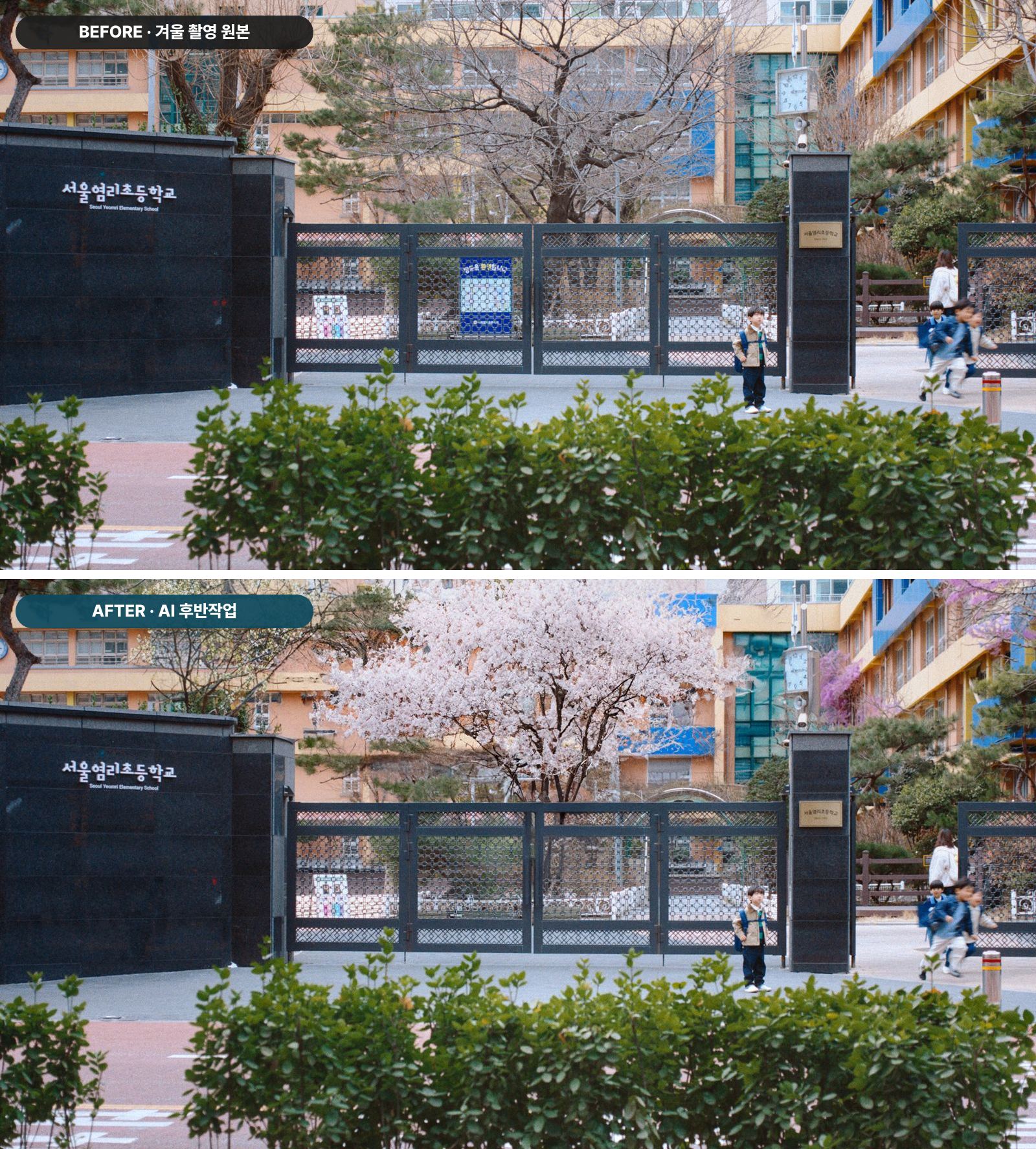 AI 영상제작 비포 애프터 - 초등학교 교문 앞 겨울 나무가 벚꽃으로, 인물과 간판은 보존